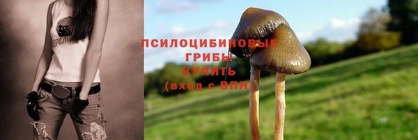 ешки Балабаново