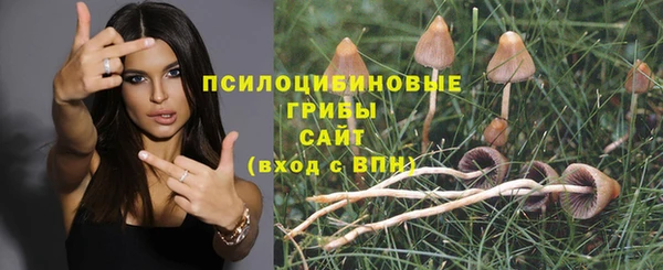 амф Баксан